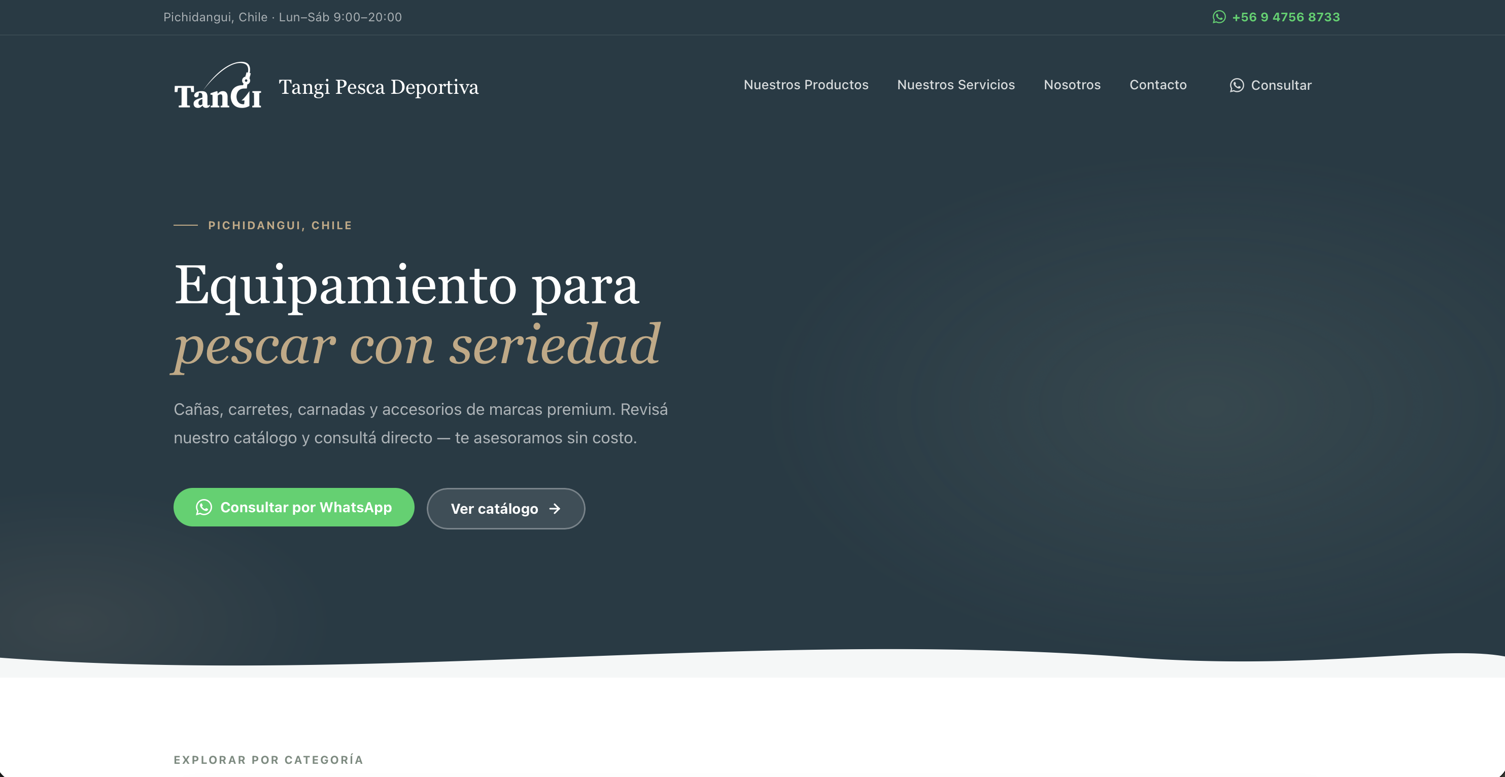 Captura de pantalla de Tangi